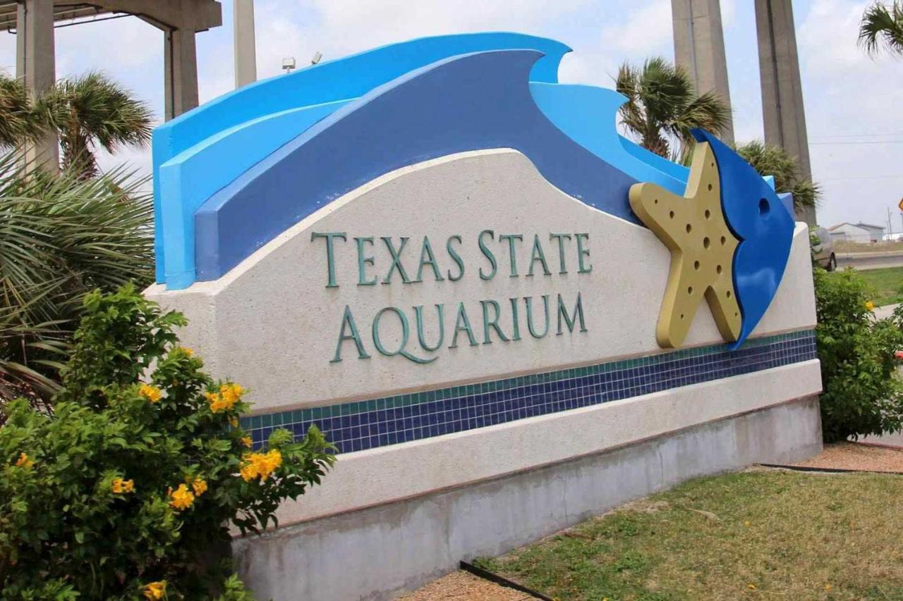 Corpus Christi Condo With Pool Access, Walk To Beach Buitenkant foto